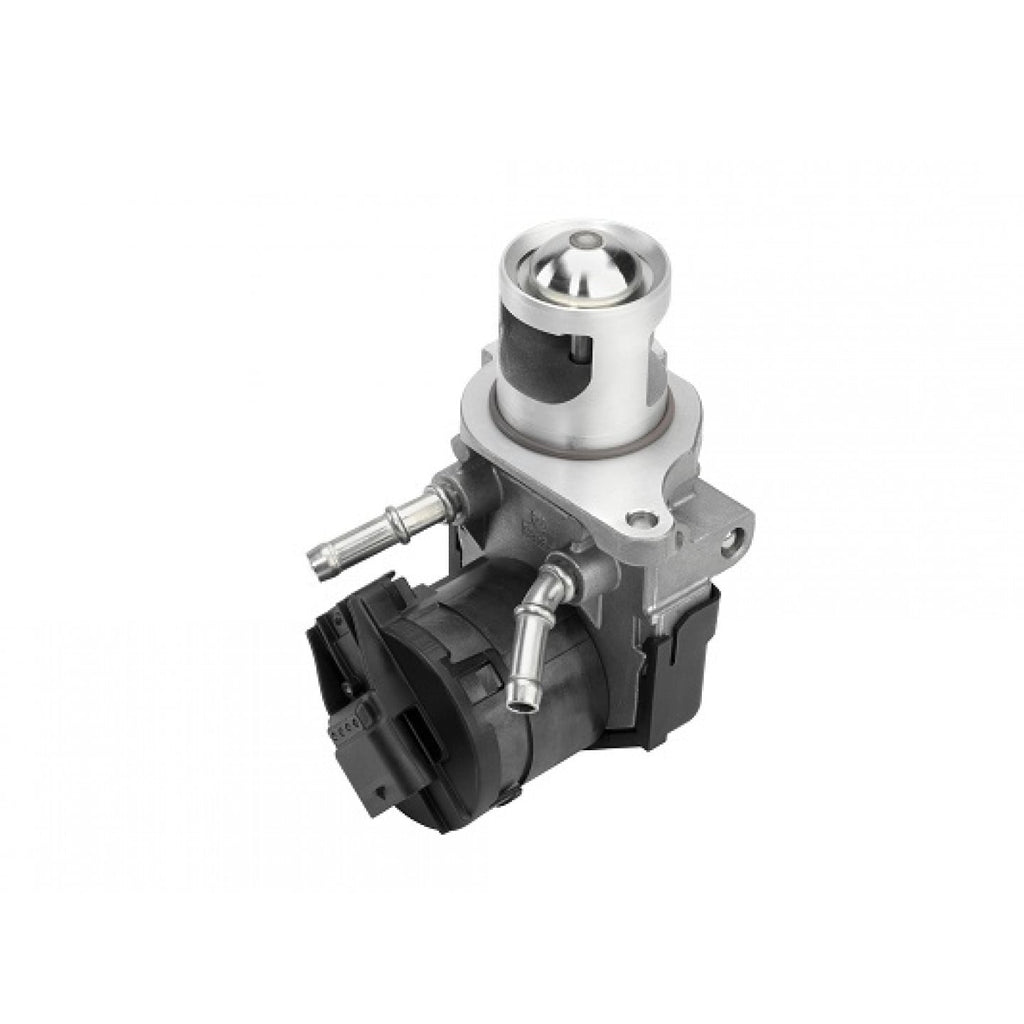 EGR Ventil WAHLER 710327D/1